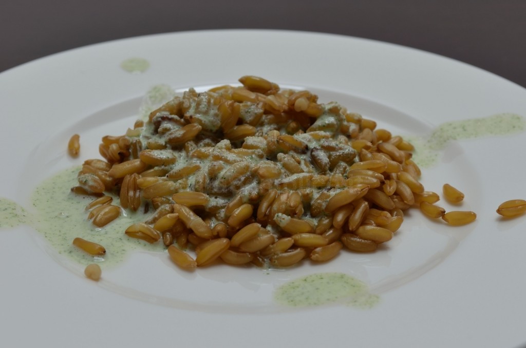 pesto alla menta