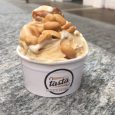 Buongiorno a tutti! Vorrei segnalarvi questo evento che trovo davvero interessante. Se siete amanti della formula all you can eat non dovete lasciarvi sfuggire l’occasione di provare il gelato e […]